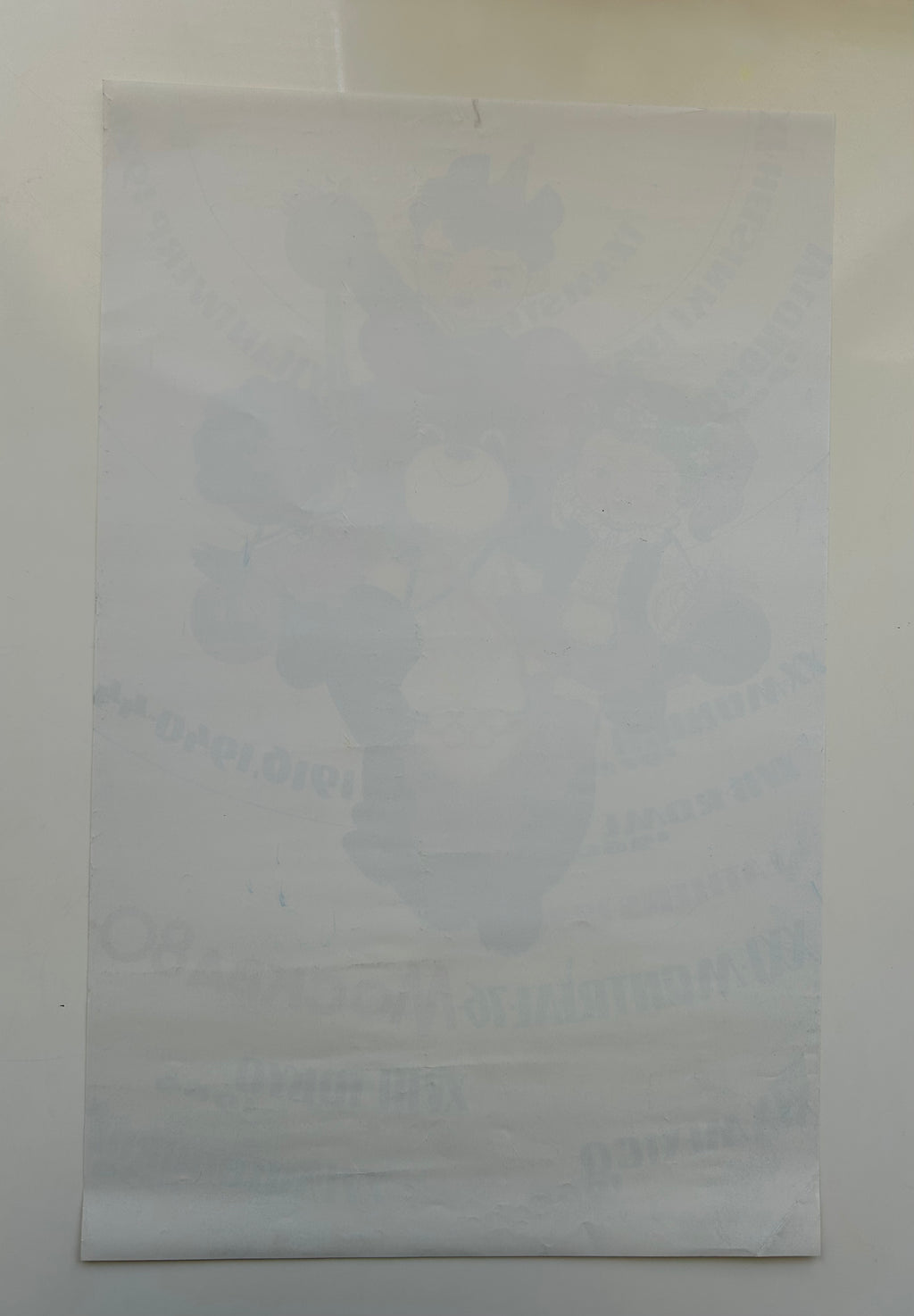 Translucent sheet with printed text and graphics on a white background