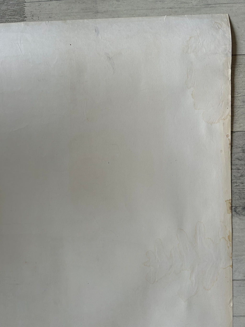 Sheet of white paper on a wooden surface
