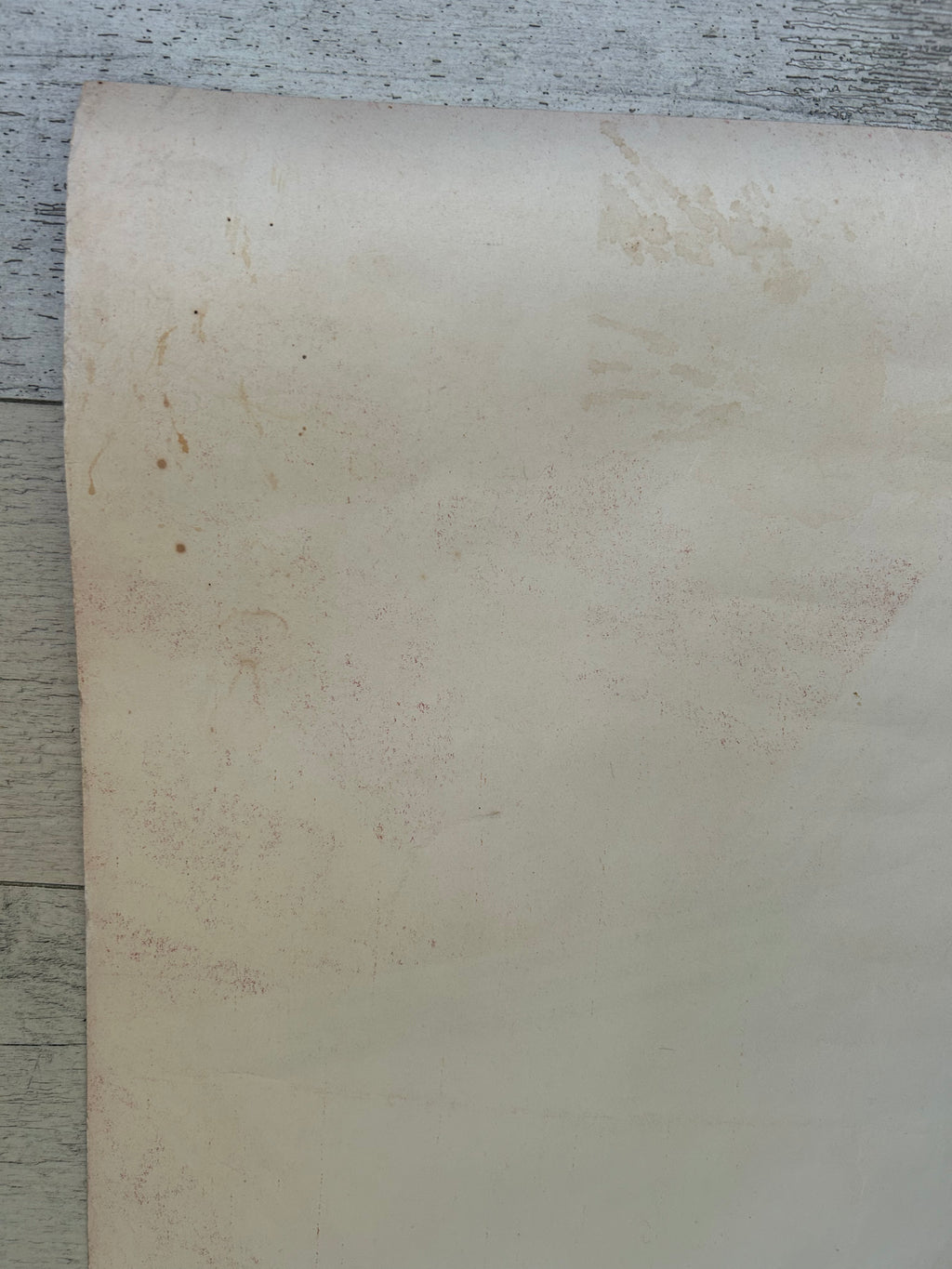Roll of beige paper on a textured gray surface
