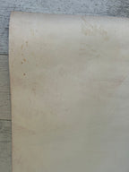 Roll of beige paper on a textured gray surface