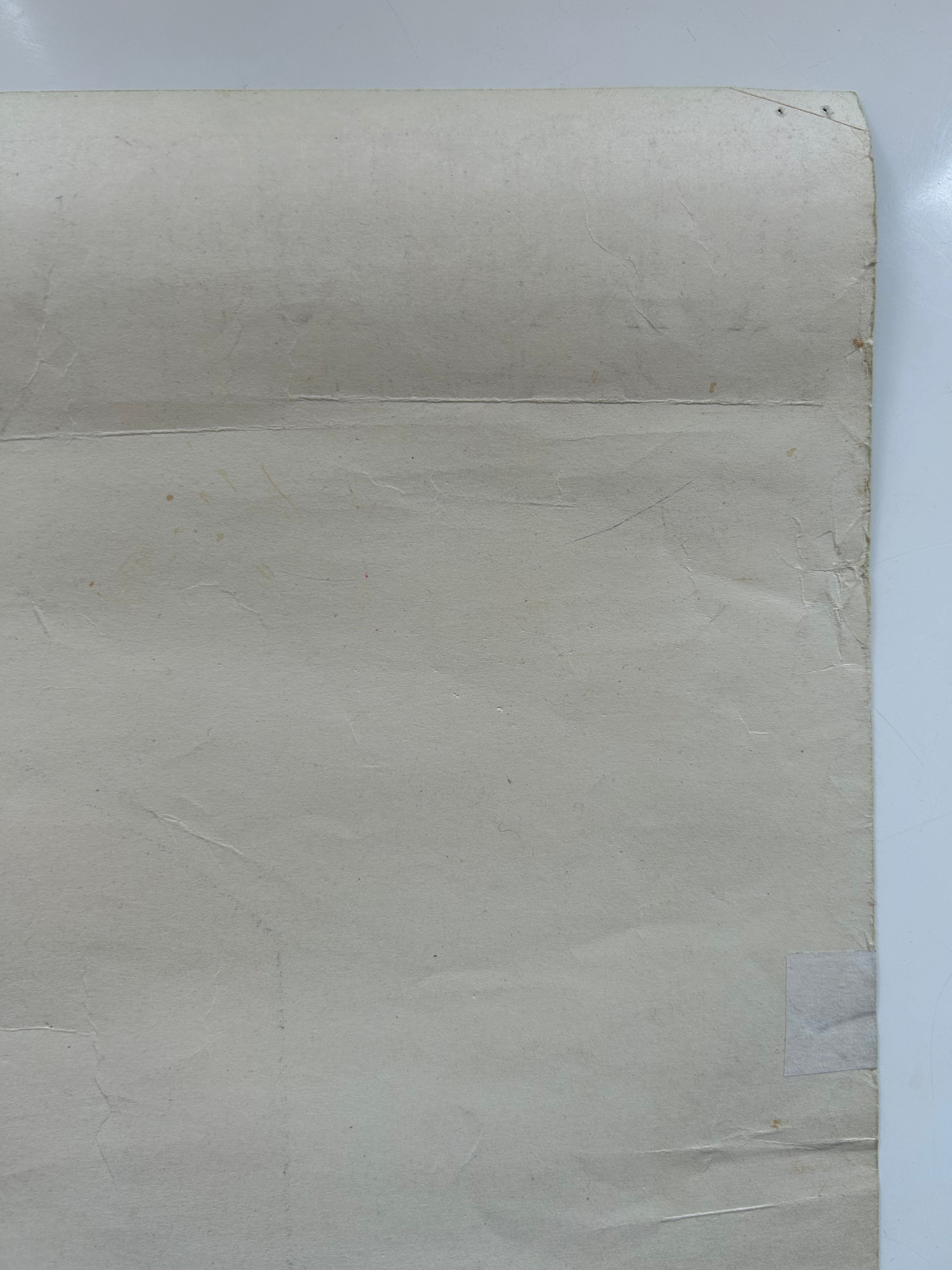 Roll of white paper on a light gray background